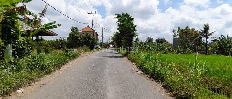 Tanah Kavling Raya Temesi Gianyar  1