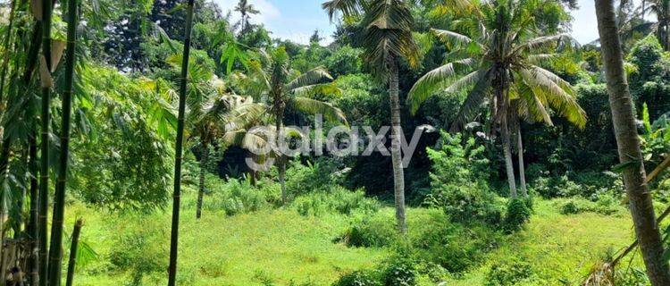 TANAH RAYA DEMAYU SAYAN SINGAKERTA UBUD GIANYAR, BALI 1