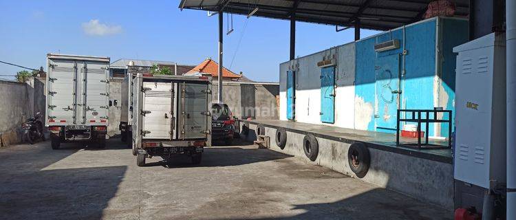 Gudang Coldstorage Gunung Agung Denpasar  1