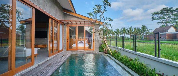 New tropical modern minimalis Villa Lodtunduh Ubud Bali 1