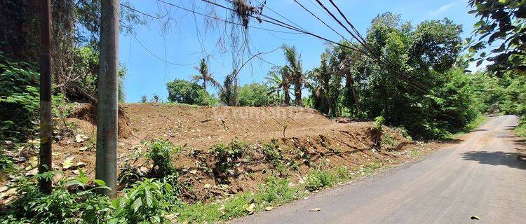 Land for the Saba Beach Gianyar tourism zone  1