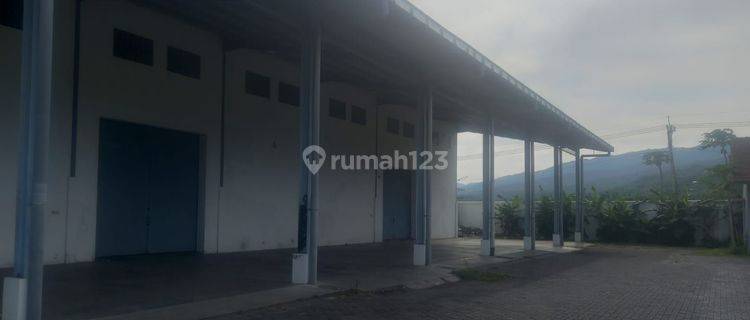 Spacious Warehouse Access to Tronton Raya Seririt Singaraja Temukus Bali 1