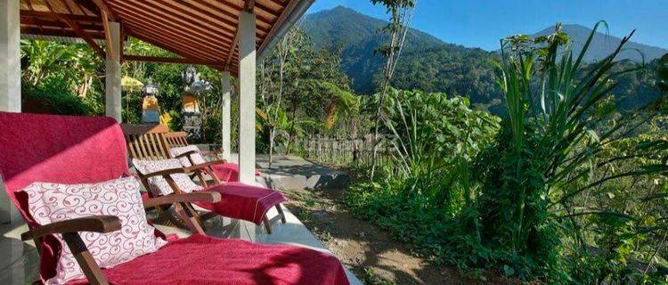 Rainforest Glamping Jatiluwih Tabanan Bali 1