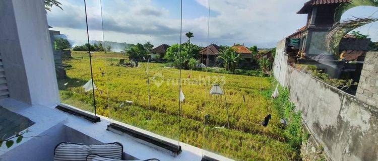 Villa Cantik View Sawah Sekar Jepun Penatih Denpasar Bali 1