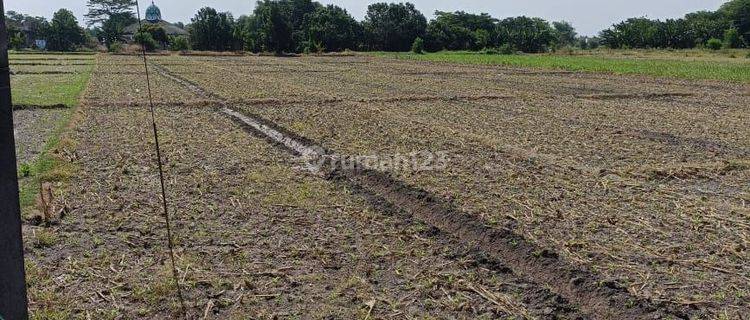 TANAH MULTI GUNA JALAN RAYA NASIONAL BYPASS MOJOKERTO  1