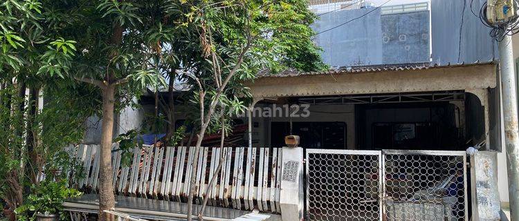 Dijual Cepat Rumah Tua Pluit Timur Langka 1