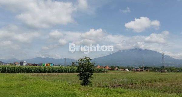 Tanah Kavling Tegalgondo Dekat Umm Cocok Untuk Usaha Kost 1