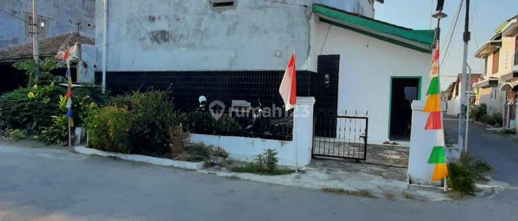 Rumah Burung Aktif di Tengah Perumahan Daerah Mejasem 1