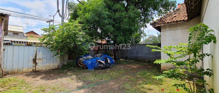 Rumah Burung Daerah Paduraksa 1