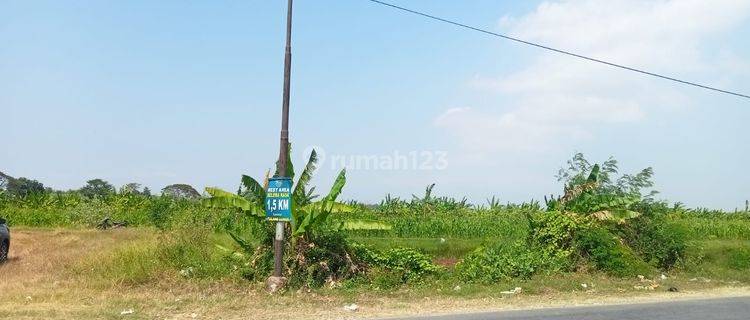 Tanah Darat Dekat Exit Tol Pejagan Brebes 1