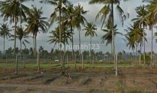 JUAL TANAH KOTA PANGANDARAN 1