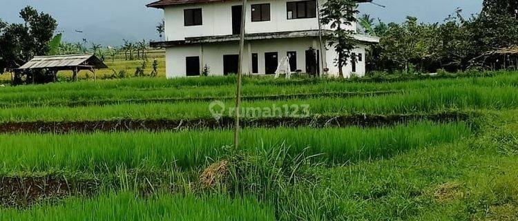 Tanah sawah berikut empang dan rumah tinggal dicidahu.cicurug sukabumi 1