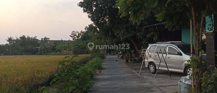 Dijual Sawah Bisa Buat Hunian Rumah  1