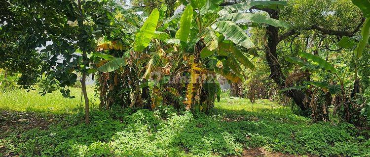 Di Jual.cepat Kav Pik Jarang Ada.lokasi Bagus Jakarta.utara 1