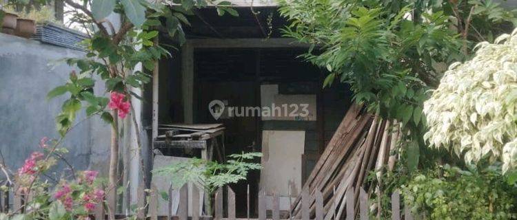 Di Jual Cepat Dibawah Njop Rumah Tua Di Petojo Barat Jakarta Pusat 1
