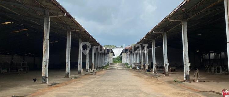 Gudang Ex Pabrik Berukuran Sangat Luas Lokasi Strategis Di Tugu Semarang 1