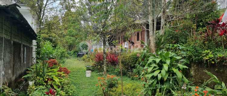 Ready-to-Use Minimalist Villa in the Cool Area of Getasan Kopeng 1