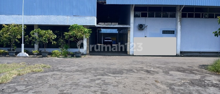 Hook Warehouse, 3 Large Fronts, Ready to Use in Siliwangi Semarang 1