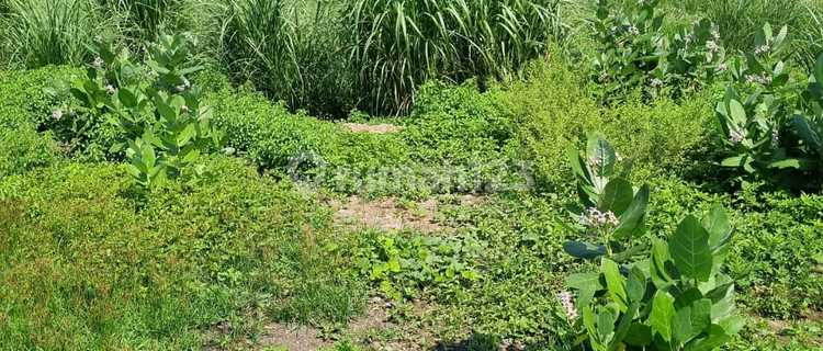 Tanah Industri Super Luas Siap Bangun Di Kawasan Cipta Guna Semarang 1