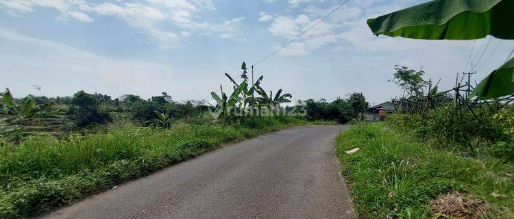 Tanah Murah Dramaga Bogor Cocok Bangun Hunian. 1