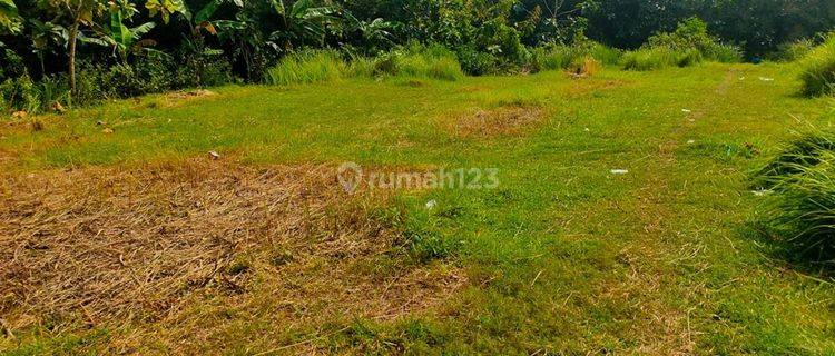 Tanah Kavling Zona Industri Dekat Pabrik Sonice Boyolali 1