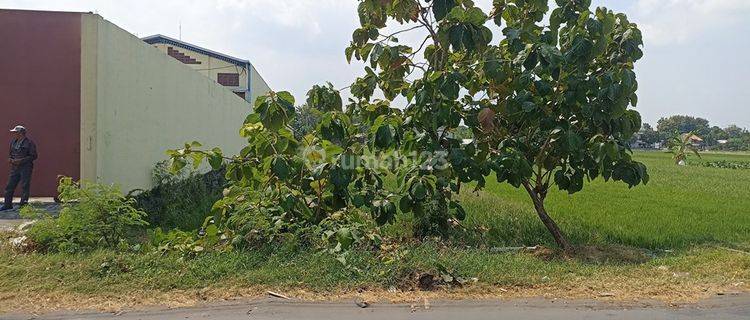 Tanah Cocok Untuk Gudang Dekat Pasar Daleman Baki 1