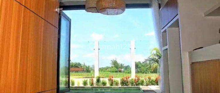 Brand New House With Ricefield View In Beraban Near Tanah Lot 1