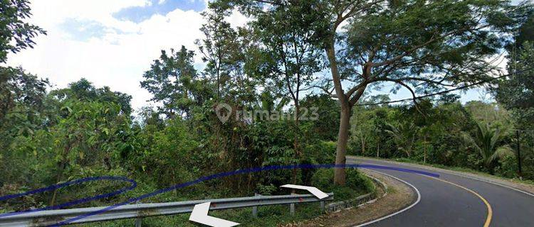 DIJUAL TANAH 5000 M2 DI KAKI GUNUNG RINJANI 1