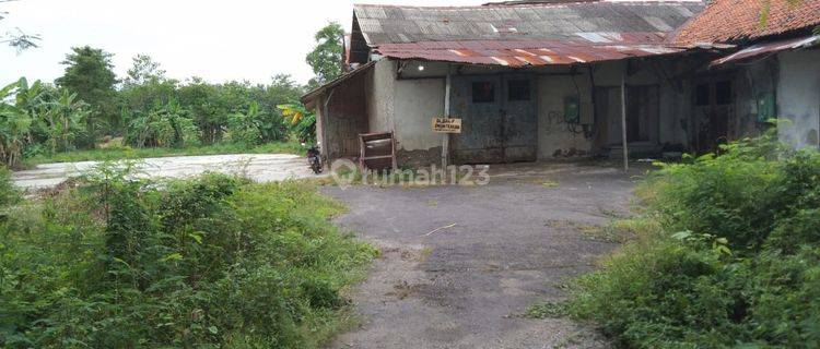 Pabrik Penggilingan Padi Aktip Srategis Pinggir Jalan Raya Limpas 1