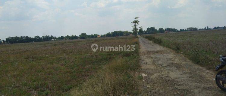 Tanah Untuk Kandang Ayam Dan Peretanian Pinggir Jalan Blok Ampera 1