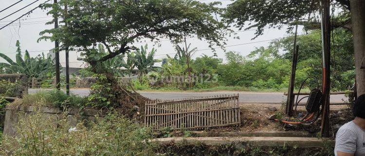 Tanah Untuk Usaha Kios Dan Gudang Pinggir Jalan Syeh Quro Lemahabang  1