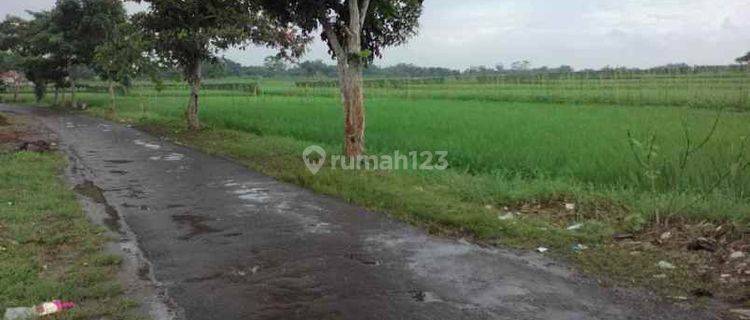 Tanah Untuk Perumahan Strategis Dekat Jalan Raya Gunungsari 1