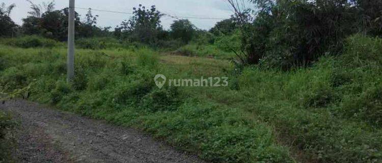 Tanah Peruntukan Kandang Blok Salep Zona Industri Sanca Dekat Tol 1