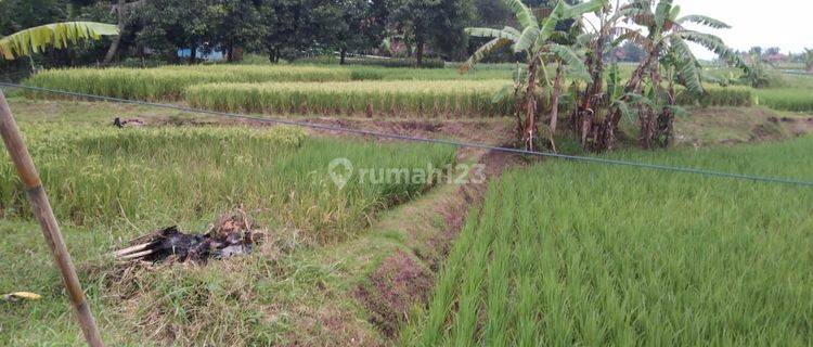 Tanah Pinggir Jalan Sanca Strategis Bangun Industri Atau Gudang 1