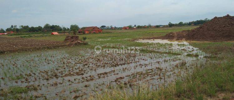 Tahah Untuk Pertanian Dan Usaha Kandang Ayam Lokasi Pertanian Terisi 1