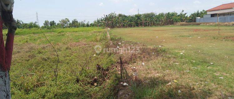 Tanah Untuk Ruang Usaha Pinggir Jalan Raya Tambelang Dekat Tol Gabus 1