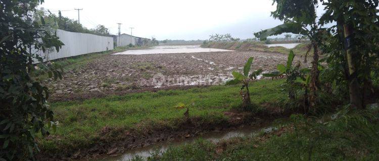 Tanah Untuk Kandang Atau Gudang Pinggir Jalan Gabuswetan Indramayu 1