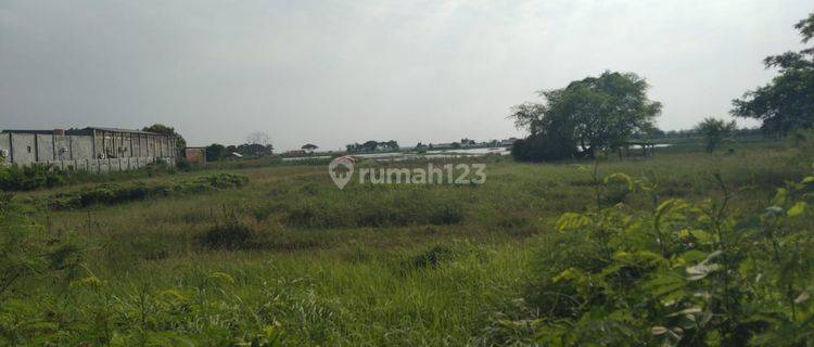 Tanah Untuk Indutri di Kawasan Jalan Pantura Losarang Indramayu 1