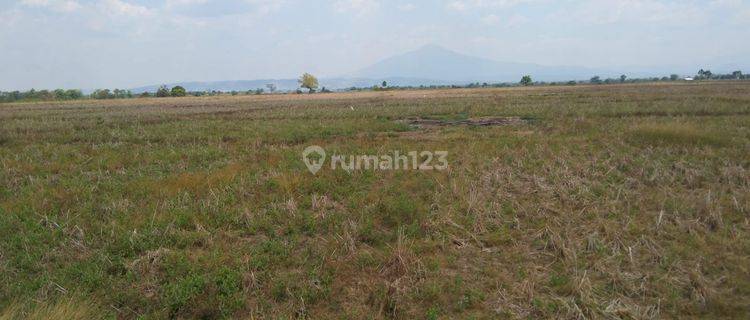 Tanah Untuk Kandang Ayam Dan Peretanian Pinggir Jalan Blok Ampera 1