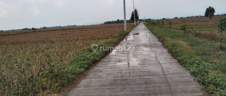 Tanah Pinggir Jalan Palasah Koneng Cocok Untuk Kandang Dan Pertanian 1