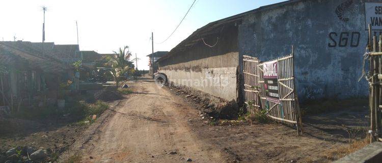 Hatchery, Pembenihan Ikan Dan Udang Pinggir Jalan Pantura Dan Laut 1