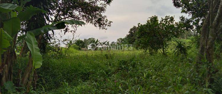 Tanah Samping Pabrik Jalan Susukan Pagaden Dekat Gerbang Tol Subang 1