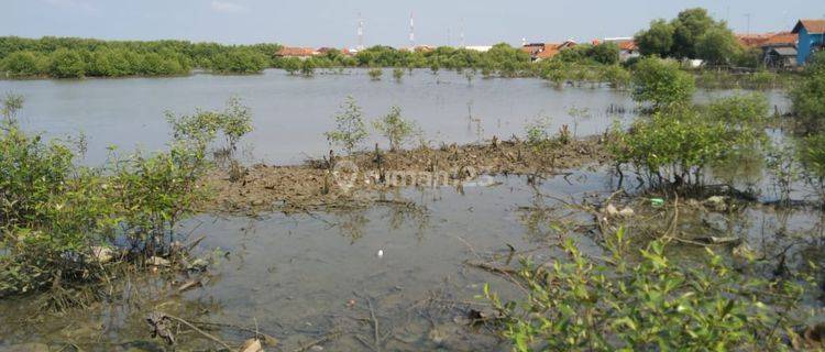 Tanah Tambak Dekat Jalan Pantura Dan Pantai Eretan Dengan Multi Guna 1