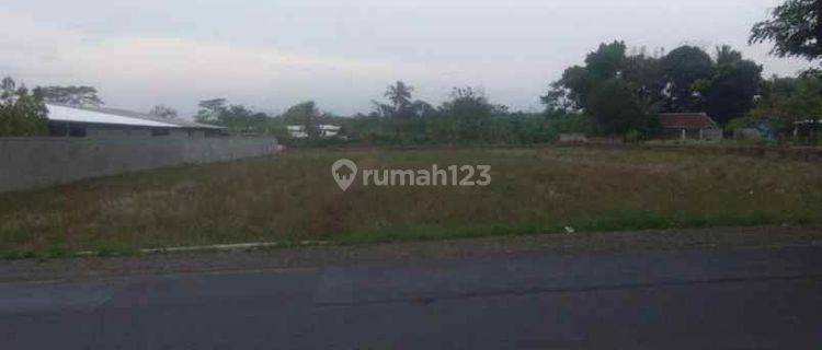 Tanah Strategis Bangun Ruang Usaha Atau Gudang Pinggir Jalan Raya Cinangsi Subang 1