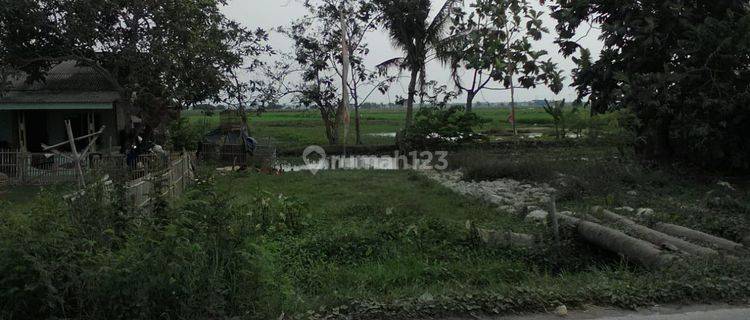 Tanah Untuk Bangun Perumahan Kelas Cluster Harga Subsidi Pinggir Raya Sukatani Sukamulya 1