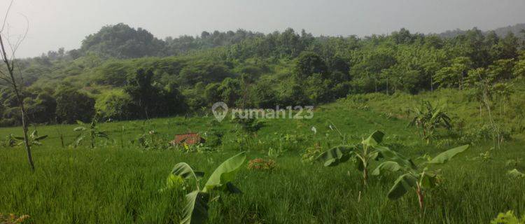 Tanah Untuk Kandang Dan Pertanian di Blok Ciawitali Sumedang Dekat Sanca 1