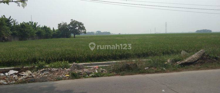 Tanah Untuk Usaha Atau Gudang Pinggir Jalan Jalan Syeh Quro Majalaya Karawang 1