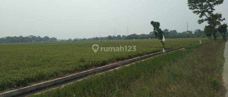 Tanah Untuk Usaha Atau Gudang Pinggir Jalan Jalan Syeh Quro Majalaya 1