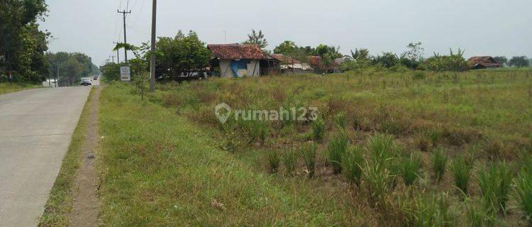 Tanah Industri Pinggir Jalan Raya Sanca Dekat Gerbang Tol Cikedung Indramayu 1