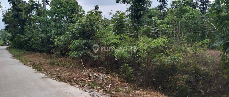 Tanah Untuk Bangun Gudang Atau Perumahan di Zona Gudang Desa Sembung 1